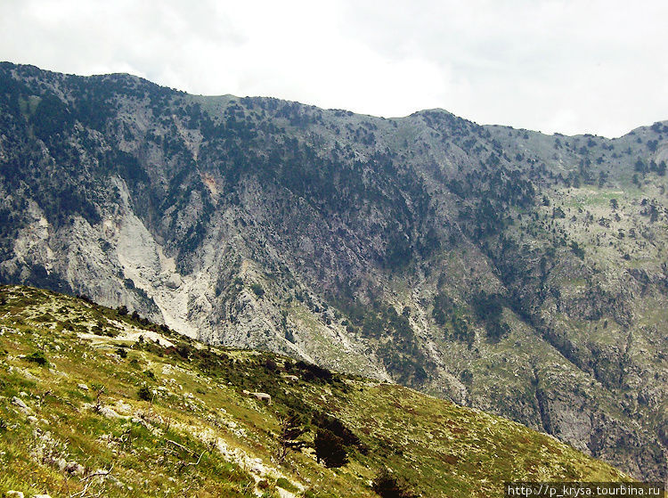 Национальный парк Llogora Ллогара Национальный Парк, Албания