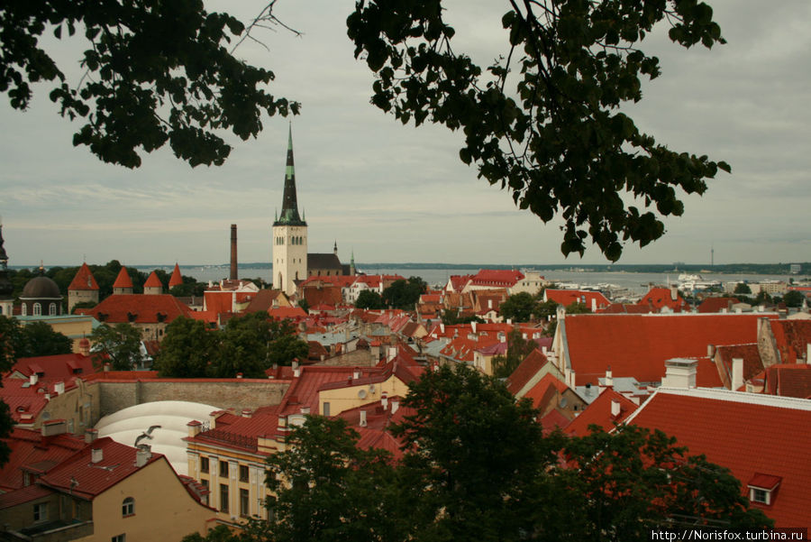 Вид со смотровой площадки, и на следующих фото тоже Таллин, Эстония