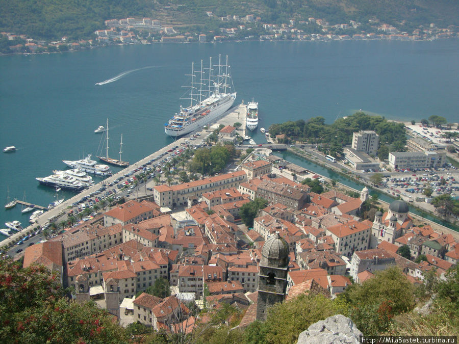 Вид на Котор с верхней точки крепости св. Иоанна Область Будва, Черногория