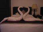 Лебеди, которые нас ожидали в гостинице на день Св.Валентина.