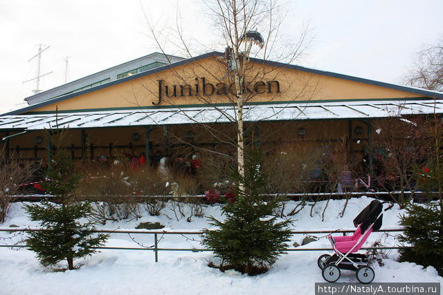 СТОКГОЛЬМ. Музей героев Астрид Линдгрен – Юнибакен ч.5 Стокгольм, Швеция