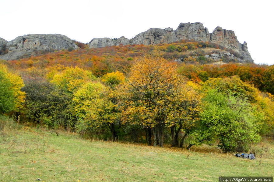 Поляна МАН. Снизу эти скалы похожи на хребет гигантского динозавра, пробирающегося по лесу Алушта, Россия