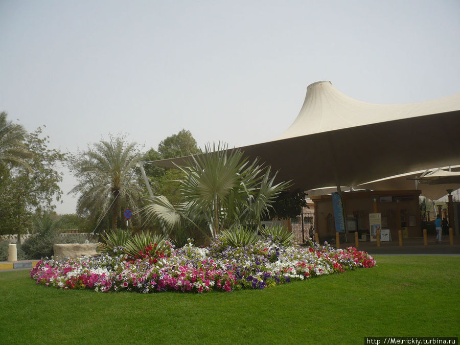 Зоопарк Аль-Айн / Al Ain Zoo (wildlife park)