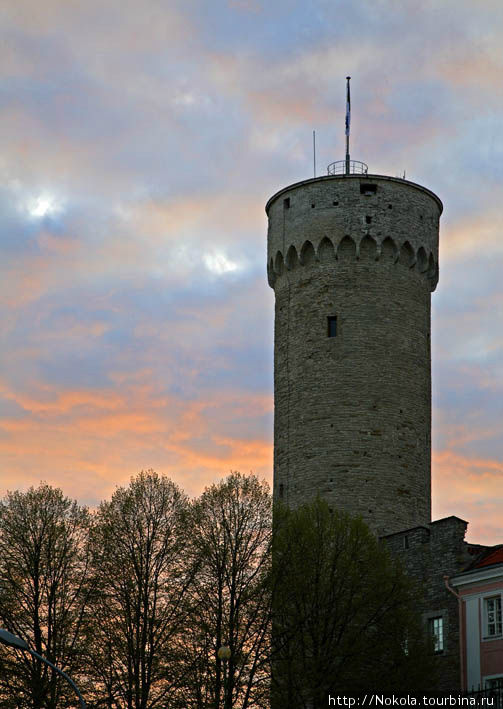 Башня Длинный Герман Таллин, Эстония