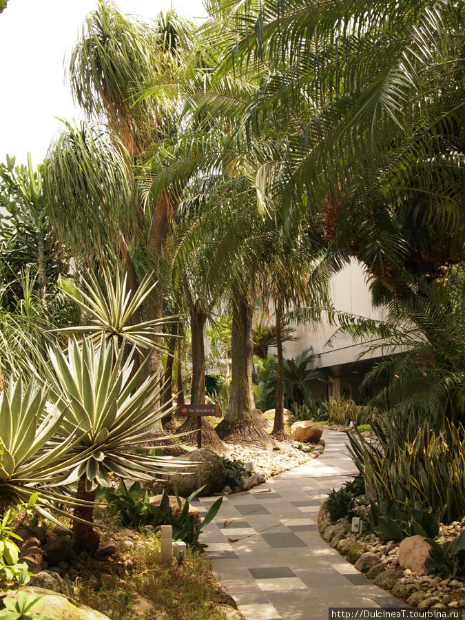 Аэропорт Сингапура. Аэропорт Сингапура.