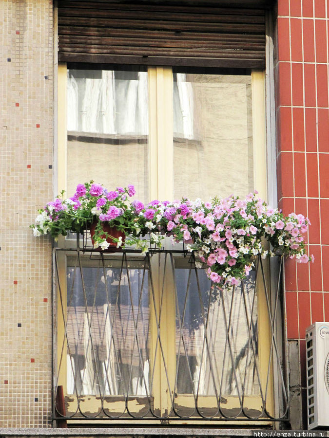 Белград. Об окнах, балконах и цветах Белград, Сербия