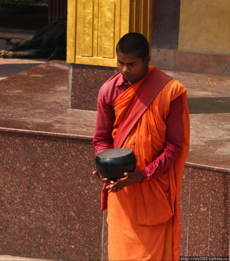 монах просит пожертвования Непал