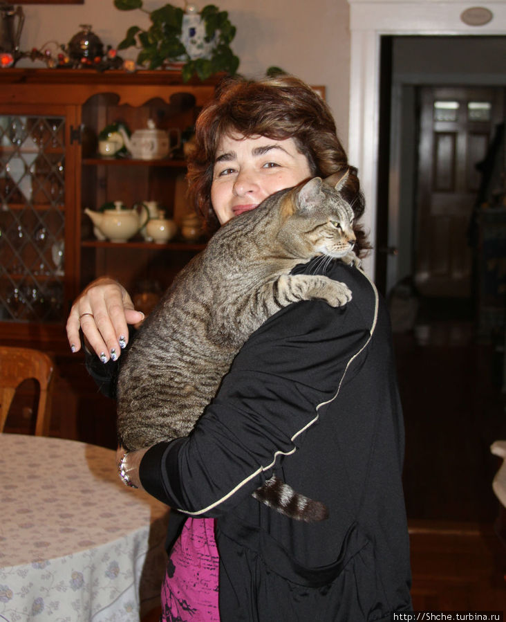 Кошка Клеопатра — нежное отзывчивое существо Уинтроп, CША