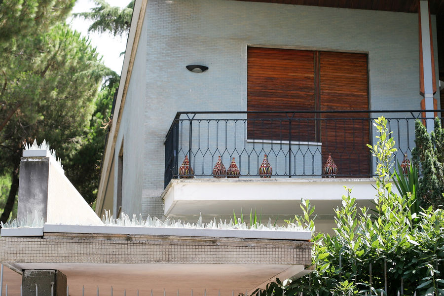 Местный аналог колючей проволоки. Местный аналог колючей проволоки.