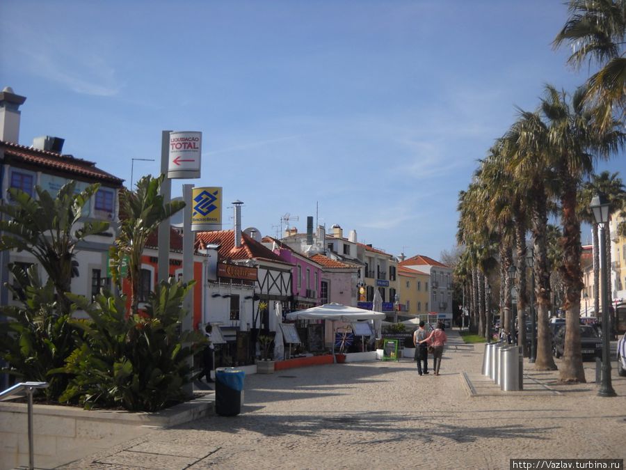 Авенида Авенида