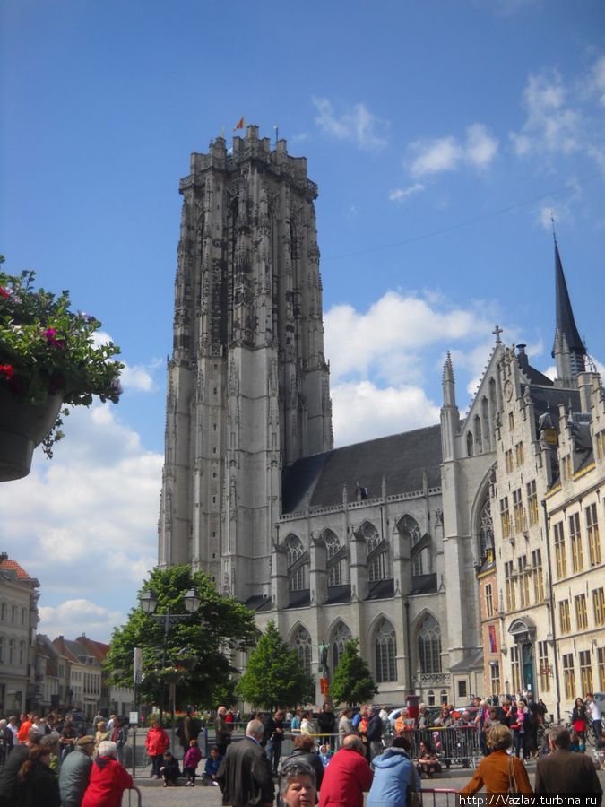 Вид на собор Мехелен (Антверпен), Бельгия