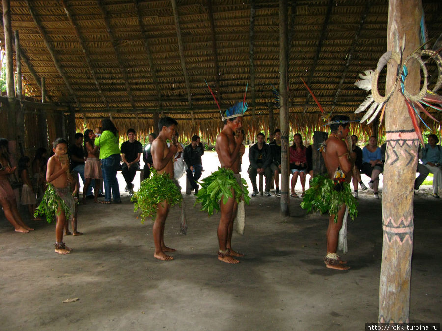 Взамен индейцы танцуют нехитрый танец под дуделки и барабан Манаус, Бразилия