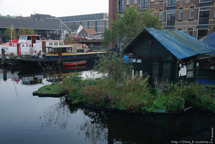 8) Те, кто живет на корабле, устраивают садики в горшках. Иногда делают плавучие огороды. Амстердам, Нидерланды