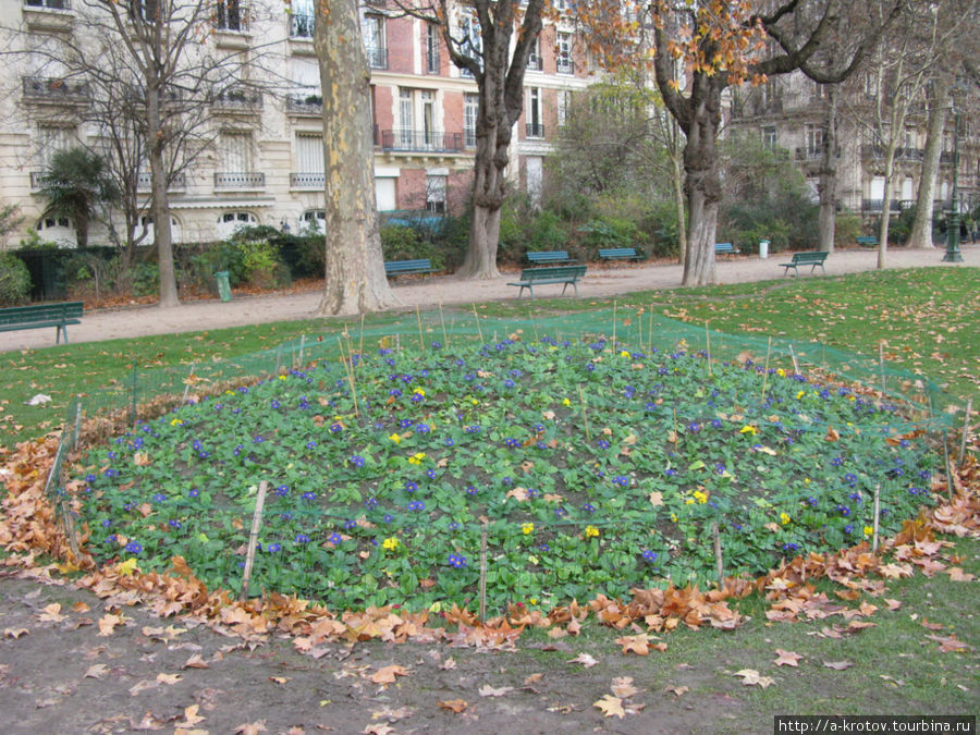 цветы под сеткой Париж, Франция