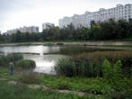 Пруд в Чертанове-Центральном между Чертановской и Днепропетровской улицами. Там плавают утки, рыбаки ловят рыбку...Чем не загород?