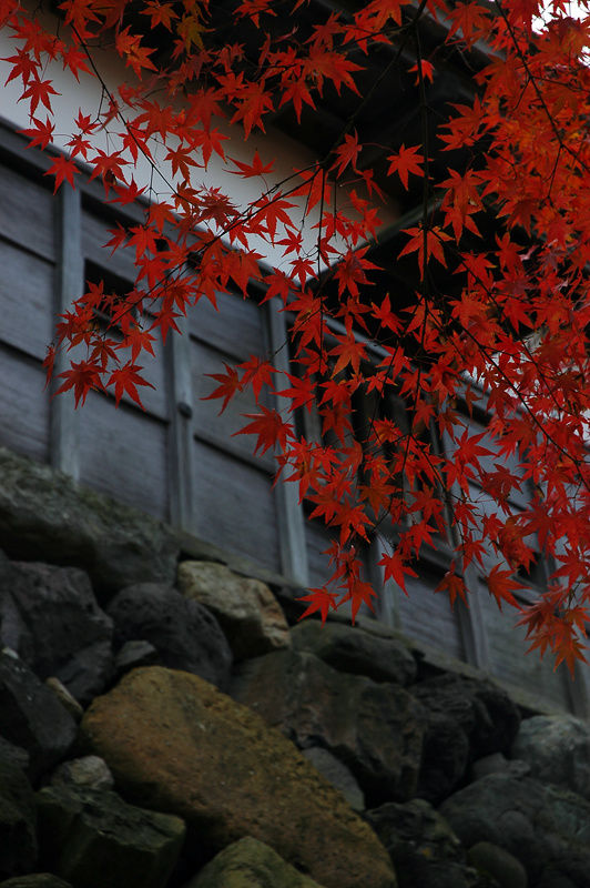 Осень в замке Маруока