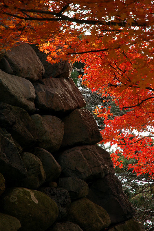Осень в замке Маруока