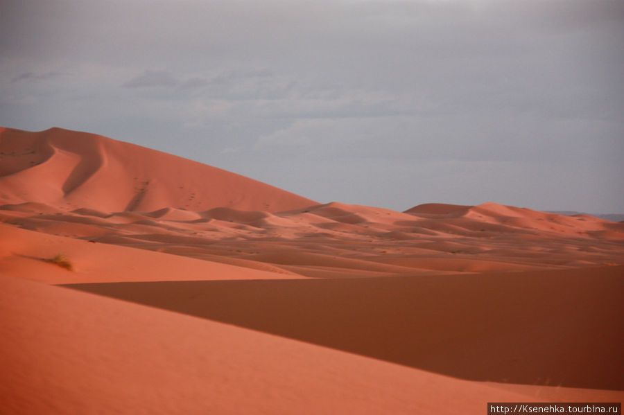 Затерянные в песках Западная Сахара (Марокканская часть), Западная Сахара