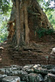 Baphuon, тоже посвящен Шиве. Запомнился как скорее не храм оплетённый деревьями, а в больше фрагменты стен в древесной массе.