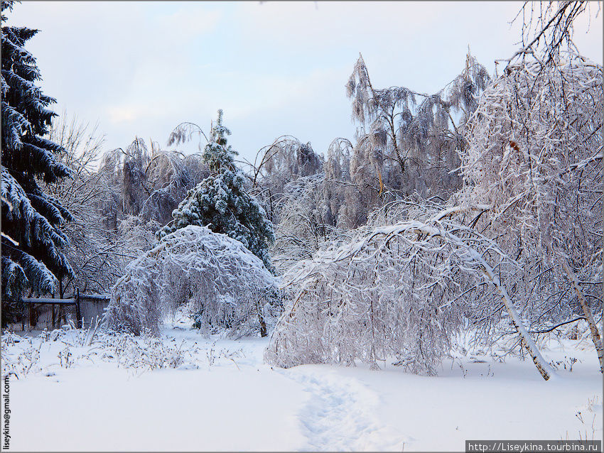 Битцевский парк зимой Москва, Россия