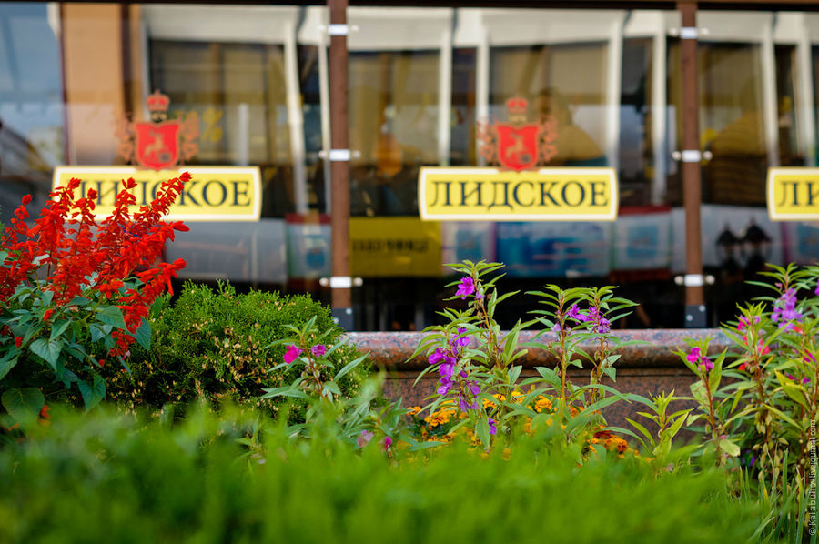 Зарисовки из Гродно Гродно, Беларусь