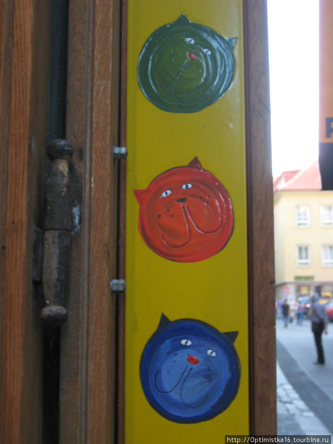 Пражские коты. Поиск продолжается... Прага, Чехия