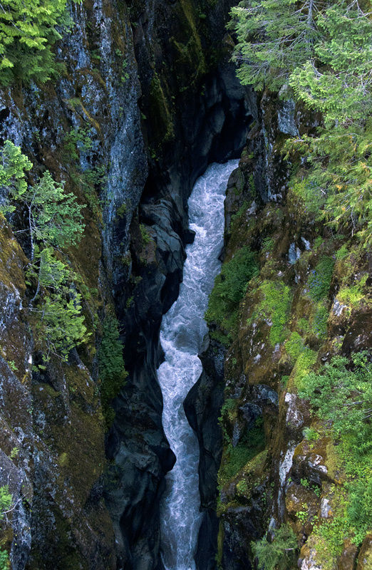 Box Canyon Национальный парк Маунт-Рейнер, CША