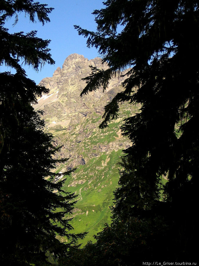 Альпийские луга Абхазии. Абхазия