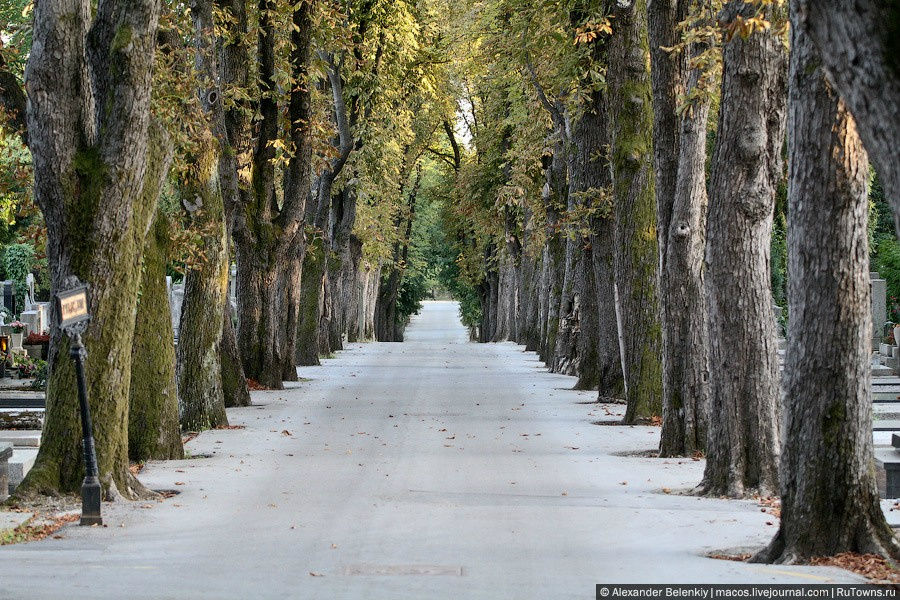 По кладбищу просто приятно гулять, здесь можно спастись от шума города и подумать о вечном. Загреб, Хорватия