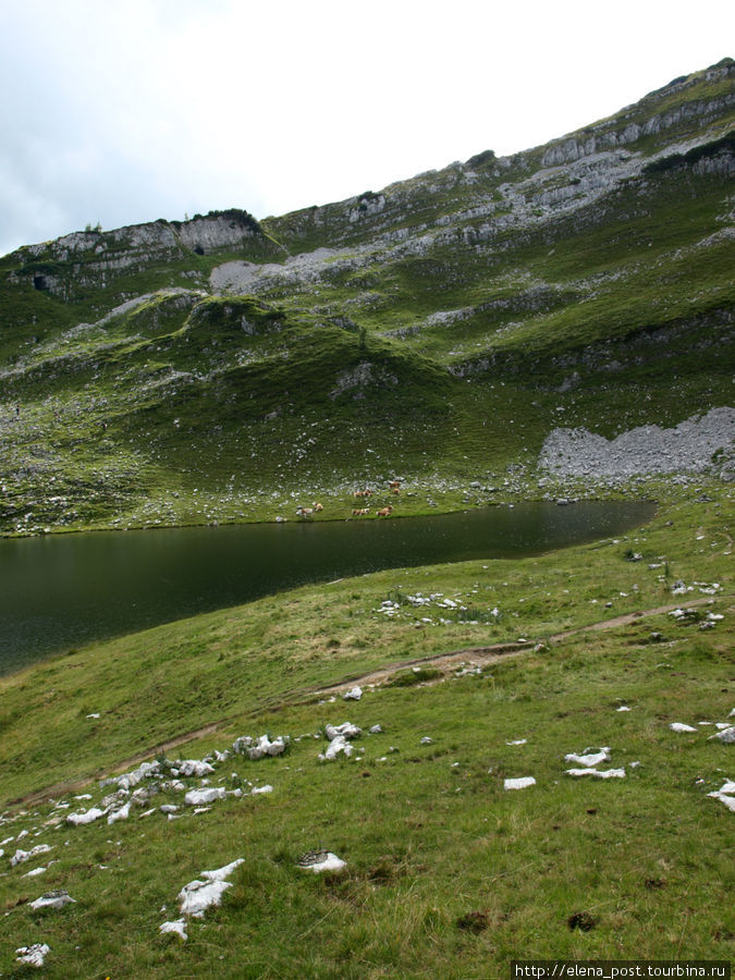 то же озеро Аугстзее Альтаусзее, Австрия