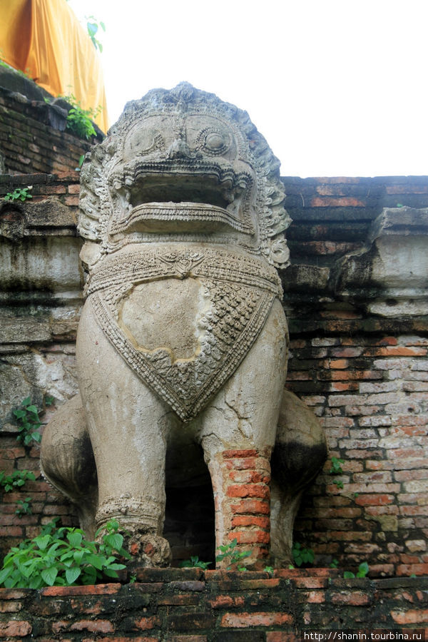 Каменный лев, Ват Мае Нанг Плуем в Аюттхае Аюттхая, Таиланд