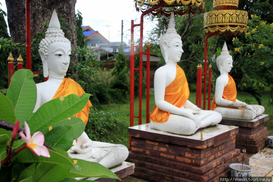Белые Будды, Ват Мае Нанг Плуем в Аюттхае Аюттхая, Таиланд