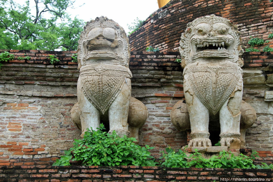 Каменные львы, Ват Мае Нанг Плуем в Аюттхае Аюттхая, Таиланд