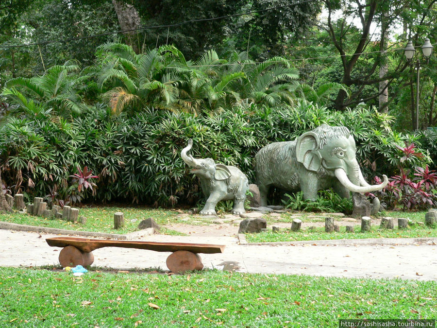 Зоопарк Хошимина, или не бросайте в гориллу яблоками Хошимин, Вьетнам