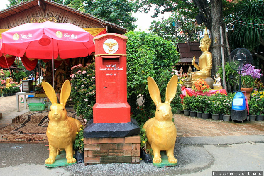 Два зайца, Ват Такаронг в Аюттхае Аюттхая, Таиланд