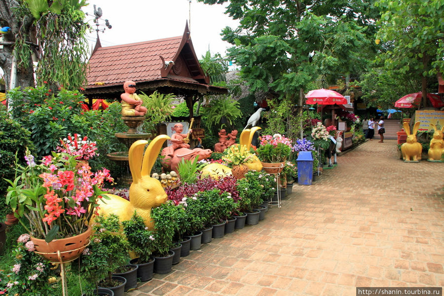 Ват Такаронг в Аюттхае Аюттхая, Таиланд