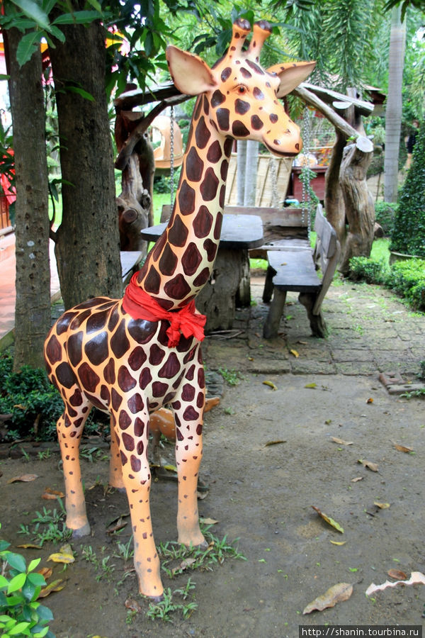 Жираф, Ват Такаронг в Аюттхае Аюттхая, Таиланд