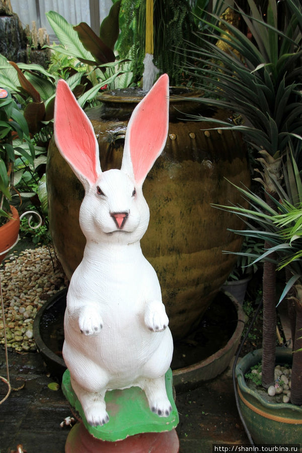 Белый кролик,  Ват Такаронг в Аюттхае Аюттхая, Таиланд