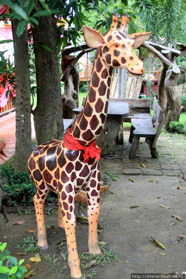 Жираф,  Ват Такаронг в Аюттхае Аюттхая, Таиланд
