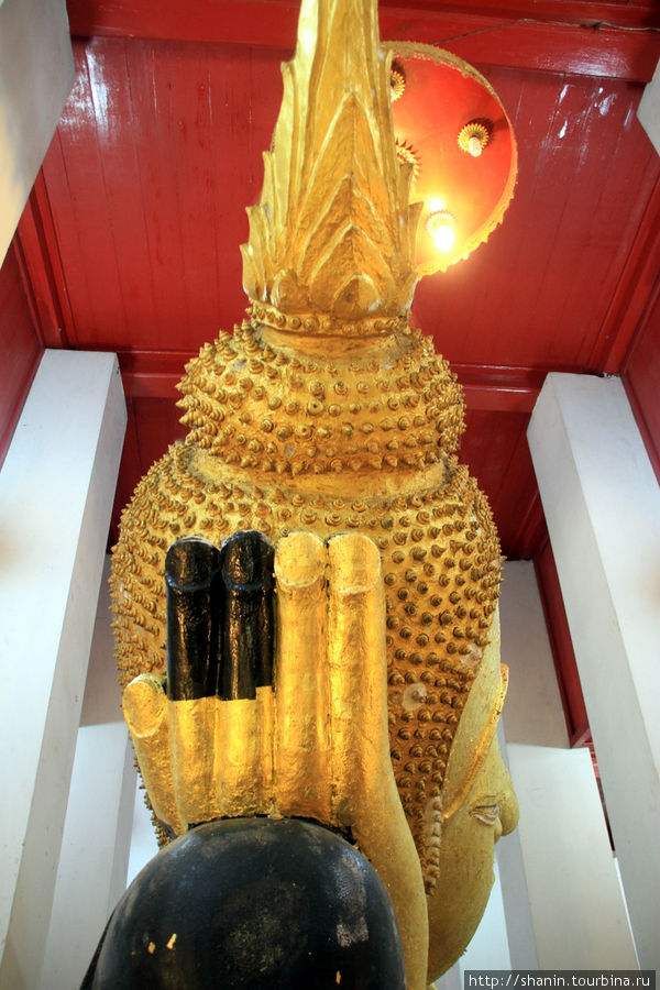 Голова Будды,  Ват Тхаммикарат в Аюттхае Аюттхая, Таиланд