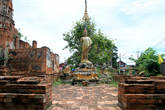 Ват Чоенг Тха в Аюттхае