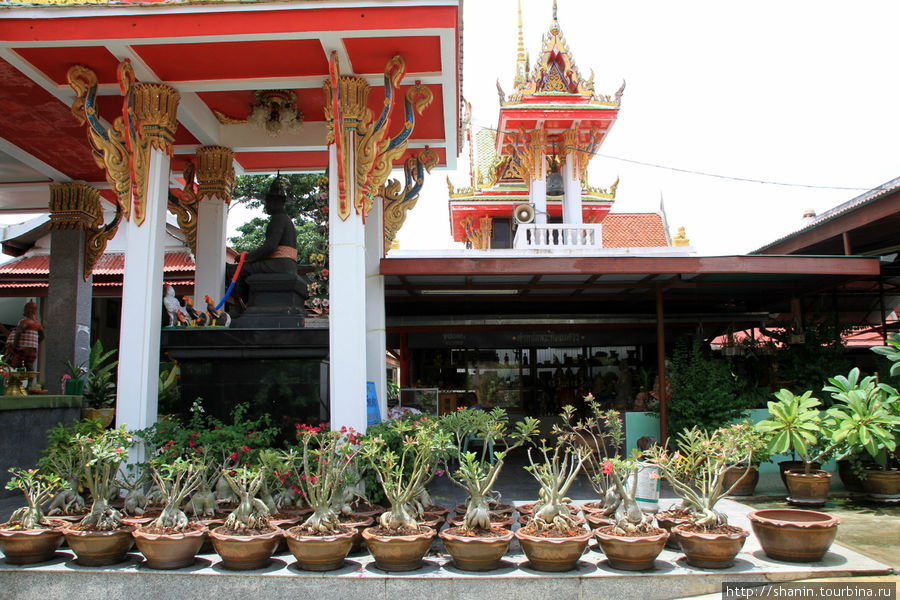 Ват Чоенг Тха в Аюттхае Аюттхая, Таиланд