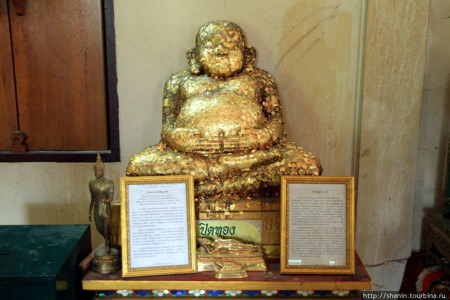 Толстый Будда, Ват Чоенг Тха в Аюттхае Аюттхая, Таиланд