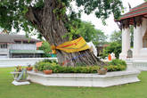 Священное дерево, Ват Сувандарарам Раджаваравихарн