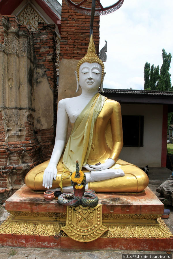 Будда,  Ват Пхутхао Тхонг в Аюттхае Аюттхая, Таиланд