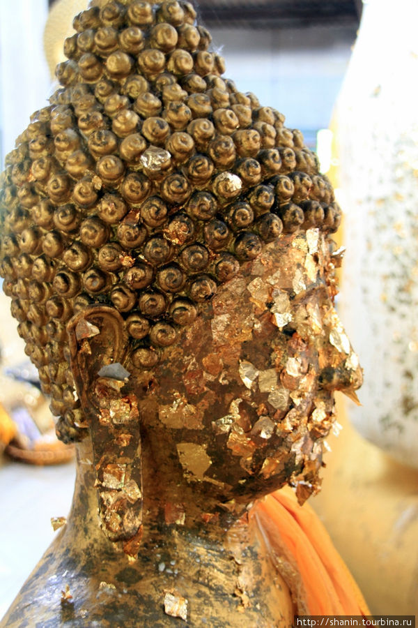 Голова Будды,  Ват Пхутхао Тхонг в Аюттхае Аюттхая, Таиланд