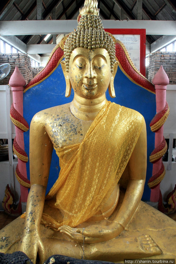 Будда,  Ват Пхутхао Тхонг в Аюттхае Аюттхая, Таиланд