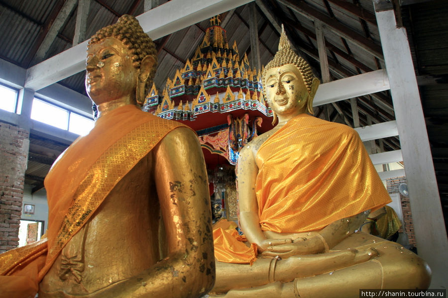 Будды,  Ват Пхутхао Тхонг в Аюттхае Аюттхая, Таиланд