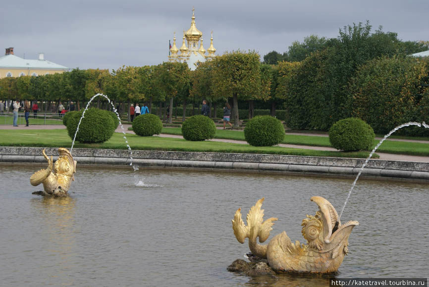 Торжество Петергофа Санкт-Петербург, Россия