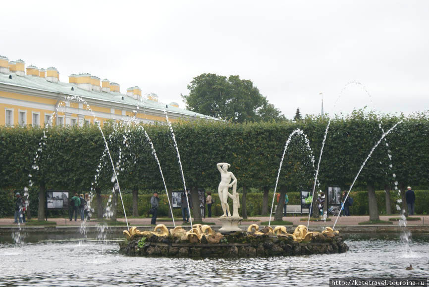 Торжество Петергофа Санкт-Петербург, Россия